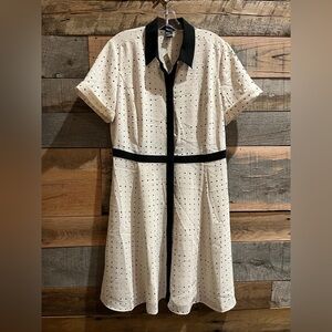 Ann Taylor Chic Polka Dot Dress with Black Accents